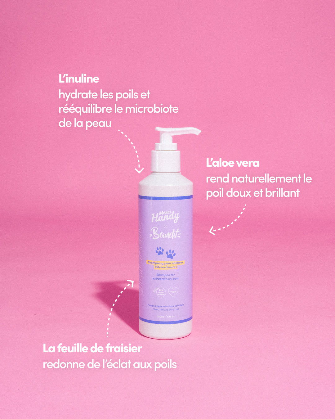Master Pack Bandit : Shampoing + Peluches