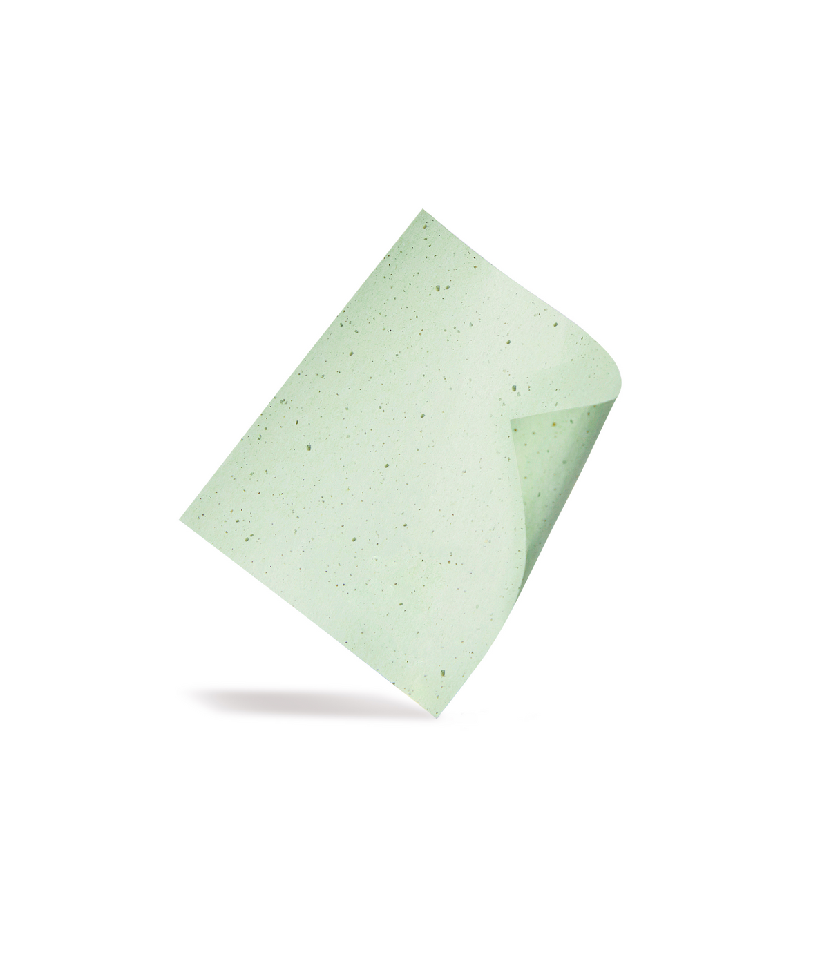 Blotting Paper + 150-Sheet Refill